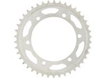 Pignone Rk 525 44T Acciaio Argento