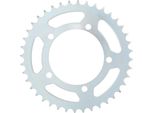 Pignone Rk 525 41T Acciaio Argento