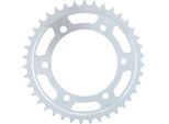 Pignone Rk 530 48T Acciaio Argento