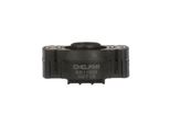 Sensore, Posizione Acceleratore Delphi SS11002-12B1