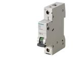 Interruttore Automatico Siemens Unipolare 20 A 230 V, 400 V 5SL4120-6 (5SL4120-6)