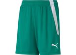 Puma Teamliga Pantaloncini Jr Pepper GREEN-PUMA White Pepper GREEN-PUMA White 176