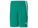 Puma Calcio Squadraliga Pantaloncini Uomo Verde Bianco Taglia Xxxl