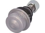 Bullone Braccio Di Controllo L/P Inferiore 21Mm Cono Iveco