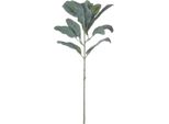 Hill Interiors - Pianta Artificiale, Spiga D'agnello HI3164 (Taglia Unica) (Verde)
