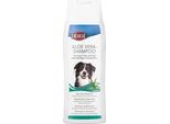 Aloe Vera-Shampoo
