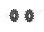 Pignone Esjot "32024"" 520, Acciaio, Peso 14 Denti"
