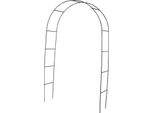 Arco Per Rose Per Piante Rampicanti Aiuto Per L'arrampicata Delle Rose Acciaio Rivestito 240 Cm