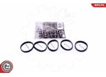 Kit Di Riparazione Esen Skv Modulo Collettore Di Aspirazione 49SKV524 Per MERCEDES-BENZ Classe E Berlina (W211) 0,26Kg