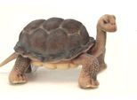 Hansa Toy 6461 Tartaruga Delle Galapagos 25 Cm Peluche Peluche Peluche Peluche Peluche