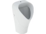 Geberit Renova Urinoir Trigonal, EntréE Par Le Haut, Sortie Vers LarrièRe, 501.675.00.1, 501.675.00.1