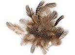 Piume Di Faraona Decorative 3 G