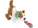 Fisher-Price Cagnolino 123 Gattona Con Me (Mattel HGY57) Mattel