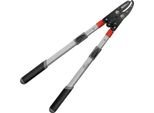 Troncarami A Incudine 80A031 Da Giardino Dedra Con Ingranaggio, Telescopico