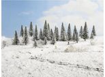 Noch 26828 Abeti Di Neve 25 Pezzi, Altezza 5 - 14 Cm