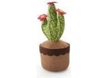Porte Stop Inofix Verde Cactus