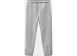 Dickies Mapleton Joggers Grau 2XL Mann Grau 2XL