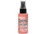 Ranger | Ossido Di Distress Spray Saltwater Taffy