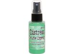 Ranger | Ossido Di Distress Spray Cracked Pistachio