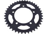 Pignone Rk "5910"" 525, Acciaio, Nero 43 Denti"