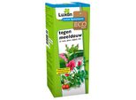 Luxan Spray Sulphur 200 Grammi