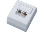 Datacom Utp Doppia Presa Sopra Intonaco Cat6 FA-1004