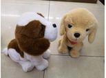 Cucciolo 543751 Adar Mix Prezzo Per 1 Pz