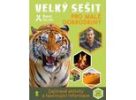 Un Grande Libro Per Piccoli Avventurieri (Grylls Bear)