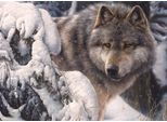 Cobble Hill Puzzle Signore Del Nord 1000 Pezzi