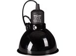 Repti-Zoo Base Con Paralume Per Lampadina Da 75W Repti-Zoo
