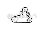 Continental Contitech 6PK1120 Extra K1 Set Di Cinghie Trapezoidali Per Audi A4 B9 Avant (8W5, 8WD) A6 Avant (4A5, C8) A5 Sportback (F5A) Q5 (Fyb)