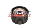 Fast FT44207 Puleggia Folle Cinghia Di Distribuzione Per Renault Clio Iii Hatchback (BR0/1, CR0/1) Clio Ii (BB0/1/2, CB0/1/2) Twingo Ii (CN0) Megane Iii Grandtour