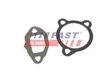 Set Di Guarnizioni Fast Per Sistema Egr FT50606 Per Vw Golf Plus (5M1, 521)
