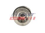 Fast FT47133/0 Pistone Per Opel Movano B Furgone (X62) Movano B Autobus (X62) Movano B Pianale / Telaio (X62) Per Renault Master Iii Furgone (Fv)