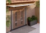 Tettoia Per Porta The Living Store Nera E Trasparente 297,5X90 Cm In Policarbonato