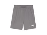 Puma Teamgoal Pantaloncini - Grigio, Taglia:3Xl