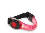 Gato Neon Led Arm Hunt Red Taglia Unica