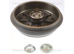 2X Triscan Tamburo Freno 8120 28209C