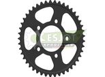 Pignone Esjot "32224"" 520, Acciaio 45 Denti"
