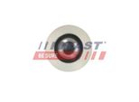 Puleggia Alternatore Fast FT45645 Per Ford Mondeo Iv Turnier (BA7) Focus Ii Hatchback (Da, Hcp, Dp) S-MAX (WA6) Focus Ii Estate (Da, Ffs, Ds)