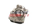 Fast FT50431 Valvola A Farfalla Per Vw Golf Vi (5K1) Polo Hatchback (6R1, 6C1) Passat Variant (3C5) Golf Plus (5M1, 521) Passat Variant (365) Touran
