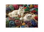 Cobble Hill Puzzle Ragdoll 1000 Pezzi