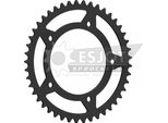 Pignone Esjot "32183"" 520, Acciaio 45 Denti"