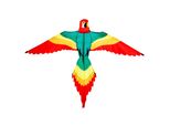 Aquilone Per Bambini Wolkensturmer Pablo Parrot 1121 Verde 160 X 120 Cm