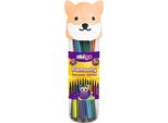 Pennarelli Di Sicurezza Lisk - Set Di 12 Colori Per Il Disegno E La Pittura Creativa! Ideale Per Bambini E Artisti Dilettanti.