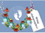 Swarovski Square Cl3412 Biglietto Di Auguri Per Il Compleanno Welcome Baby Boy!