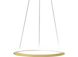 Lampada A Sospensione Iole S1 Led 28W Dimmerabile - Lampadario Con Anello Oro Spazzolato Moderno, Luce Calda 3000K, IP20