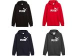 Puma Ess No. 1 Logo Felpa Con Cappuccio Uomo, Taglia:L, Colore:Grigio Scuro