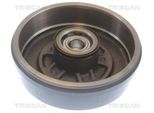 2X Triscan Tamburo Freno Posteriore 812025225C
