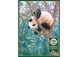 Cobble Hill Puzzle Golden Child - Puzzle Da 1000 Pezzi